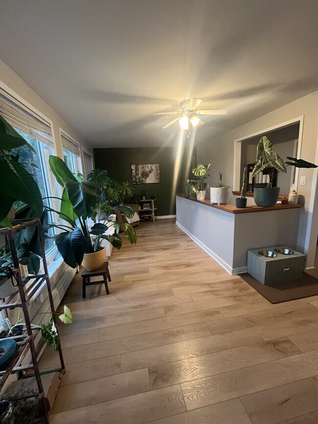 Photo - 21 Harris St