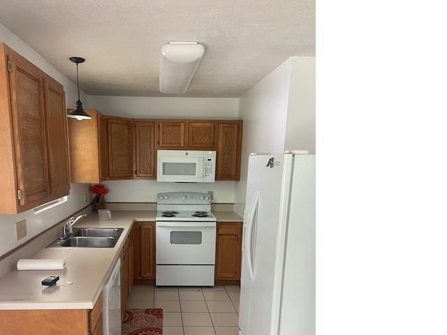Photo - 532 Duroc Ct