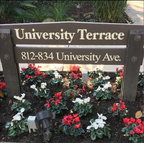 Photo - University Terrace
