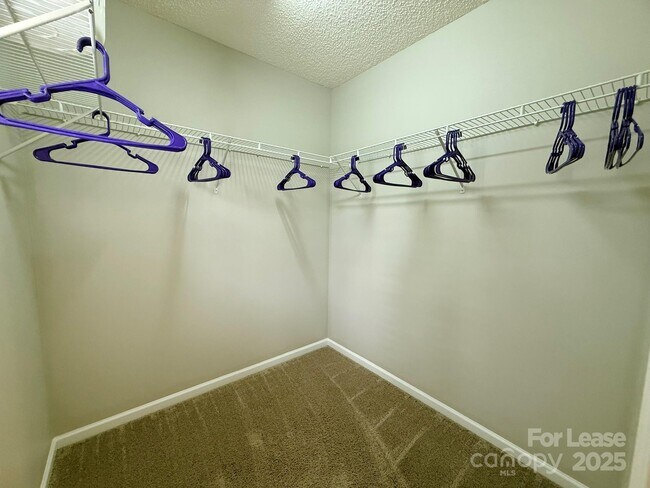 Photo - 11945 Maria Ester Ct