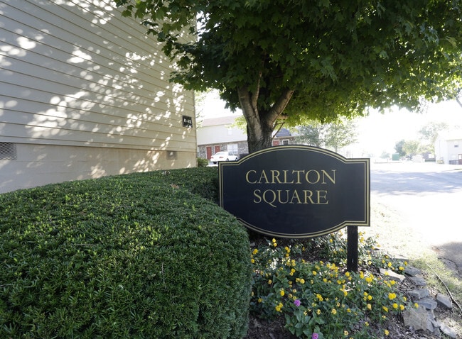 Carlton Square - Carlton Square