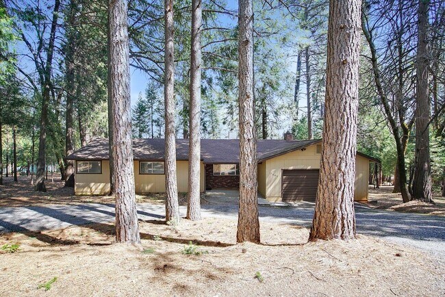 Photo - 11845 Tree Top Cir