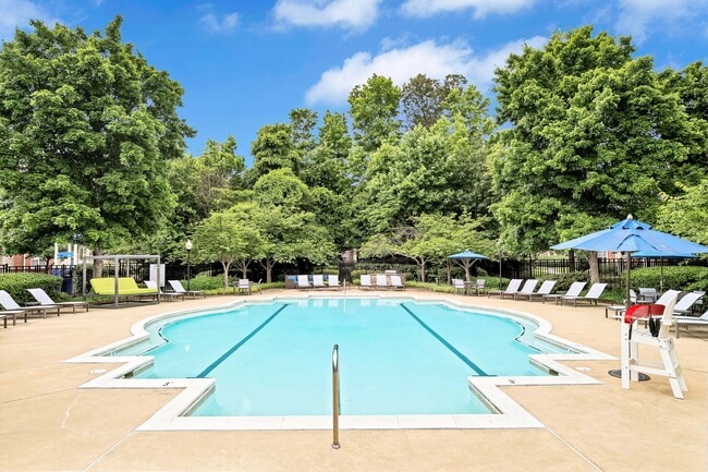 Piscina estilo centro turístico con terraza - Annapolis Bay
