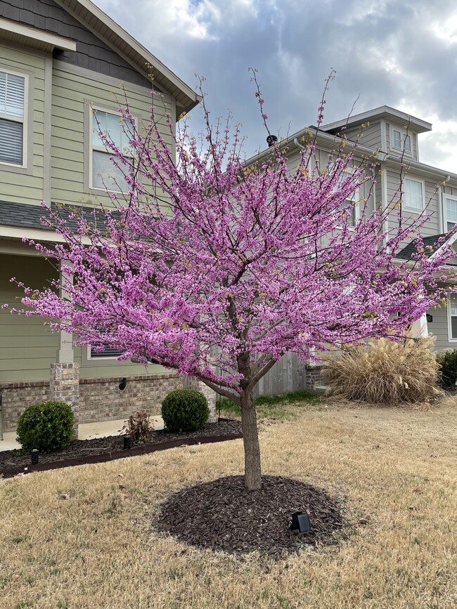 Photo - 3810 W Pawnee Rd