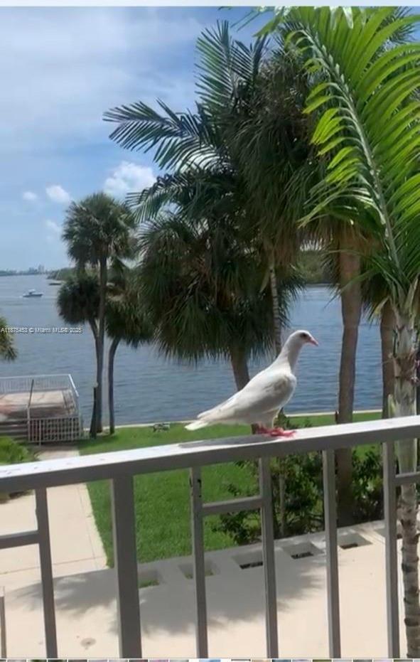 Photo - 500 Bayview Dr Unit 230