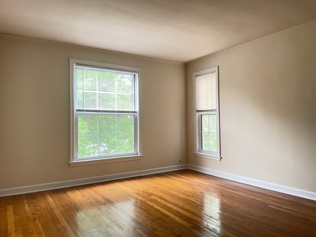 Photo - 4237 W Nelson St Unit 2