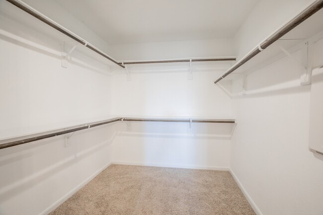 Building Photo - 1407 Wheatland Terrace Ln