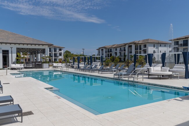 Photo - Portofino Vineyards