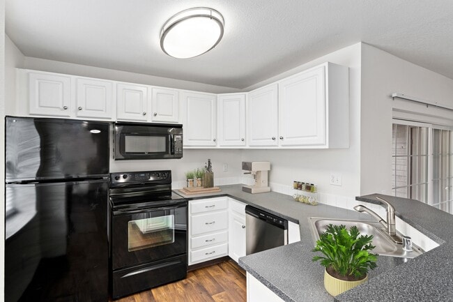 Photo - Autumn Chase