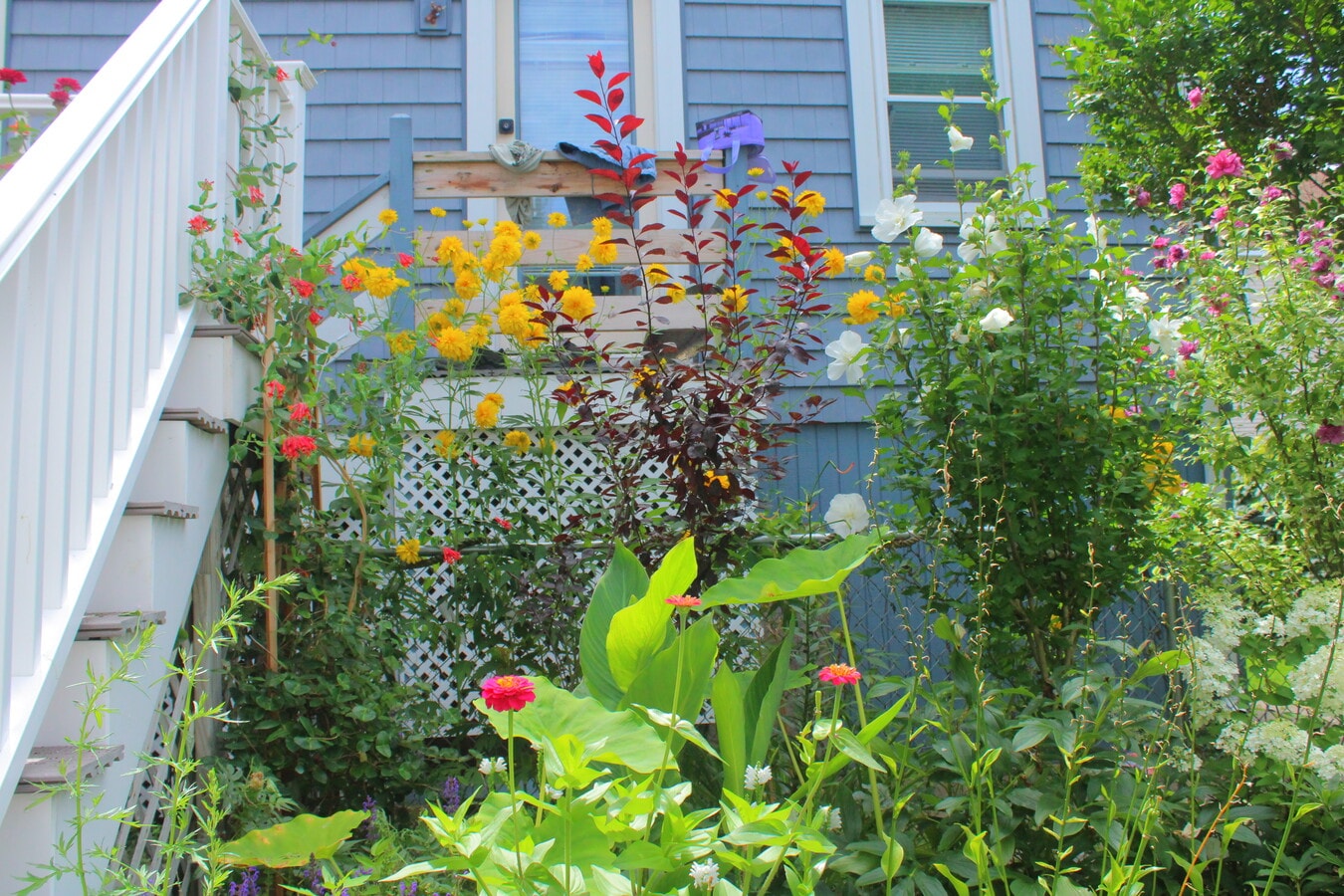 Beautiful lanscaping - 18 Berkley Rd