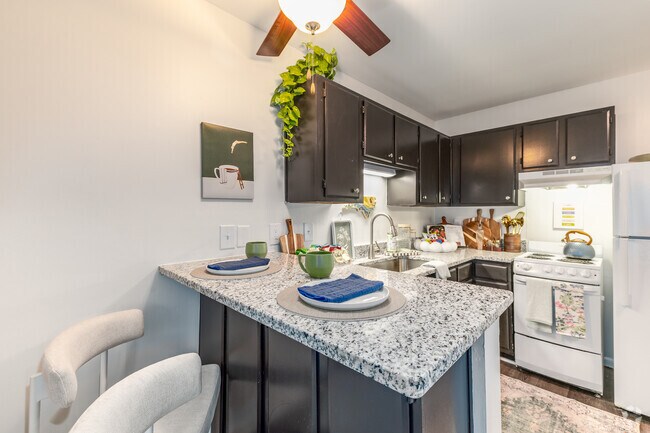 1BR, 1BA - 540SF - Kitchen