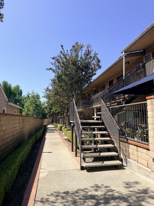 209 Violet Ave