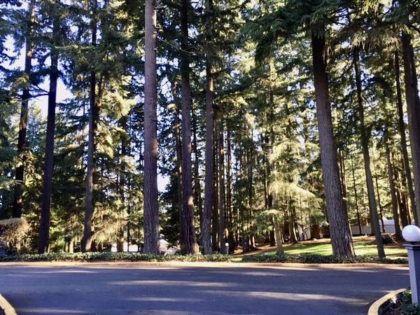 Photo - 6347 137th Ave NE Unit 283