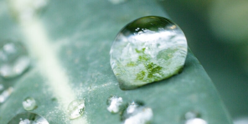 Photo - 351 N Chestnut St Unit 4