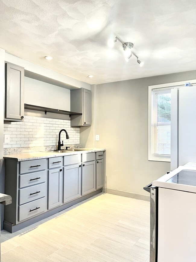 Kitchen - 1005 N State St Unit Lower