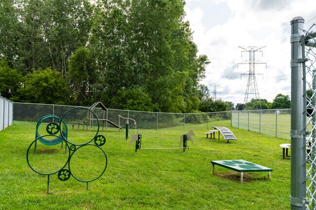 Bark Park