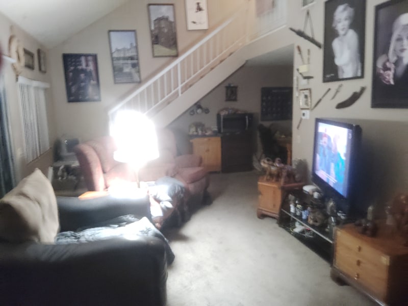 Photo - 3631 Raven Dr