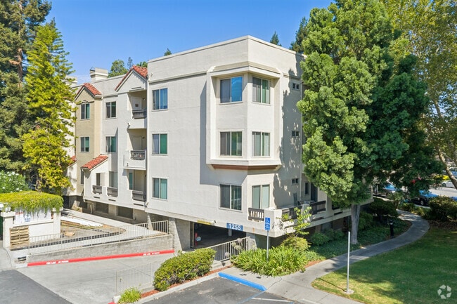Paloma Vista