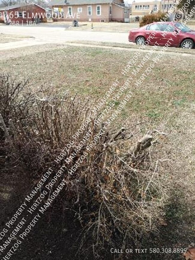 Photo - 65 Elmwood Ave