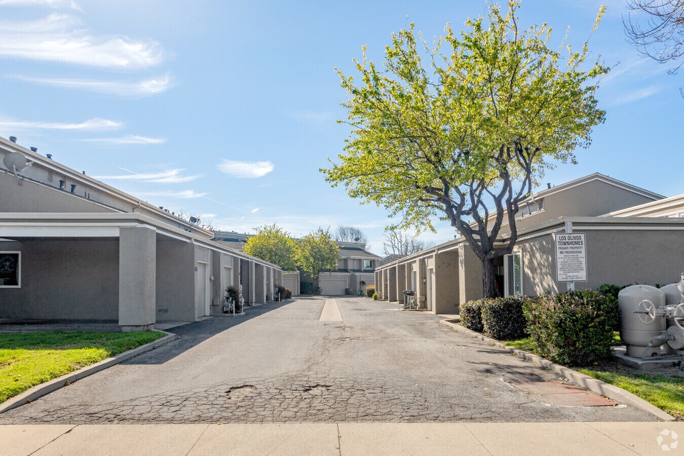 Entrada - Los Olivos Village