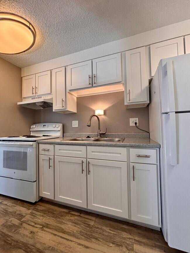 Beautifully Renovated Apartments