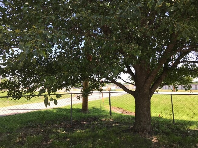 Photo - Single Family Home