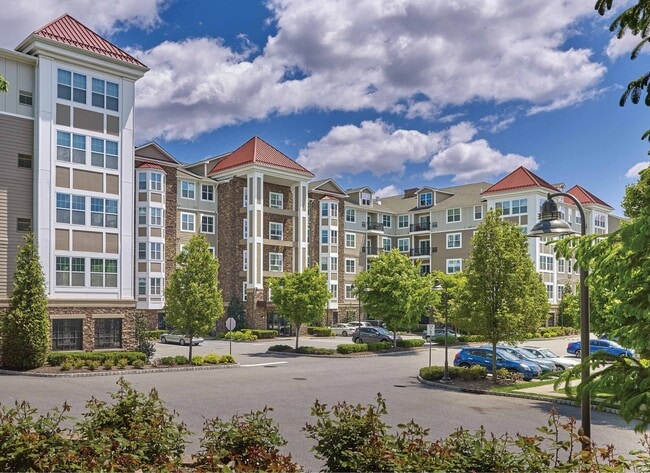 Photo - Vermella Lyndhurst