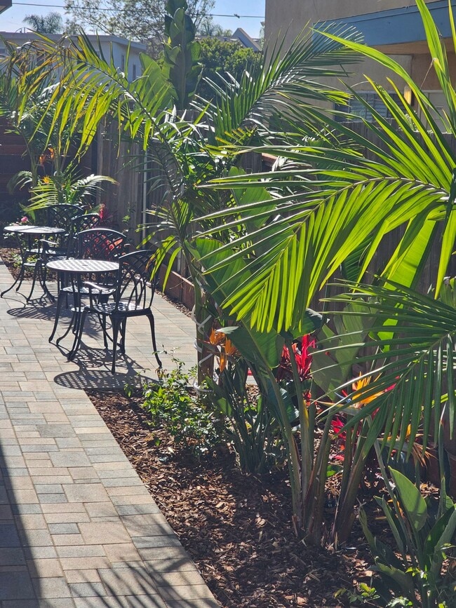 Photo - Encinitas Renovated Two Bedroom Apartment Unit D