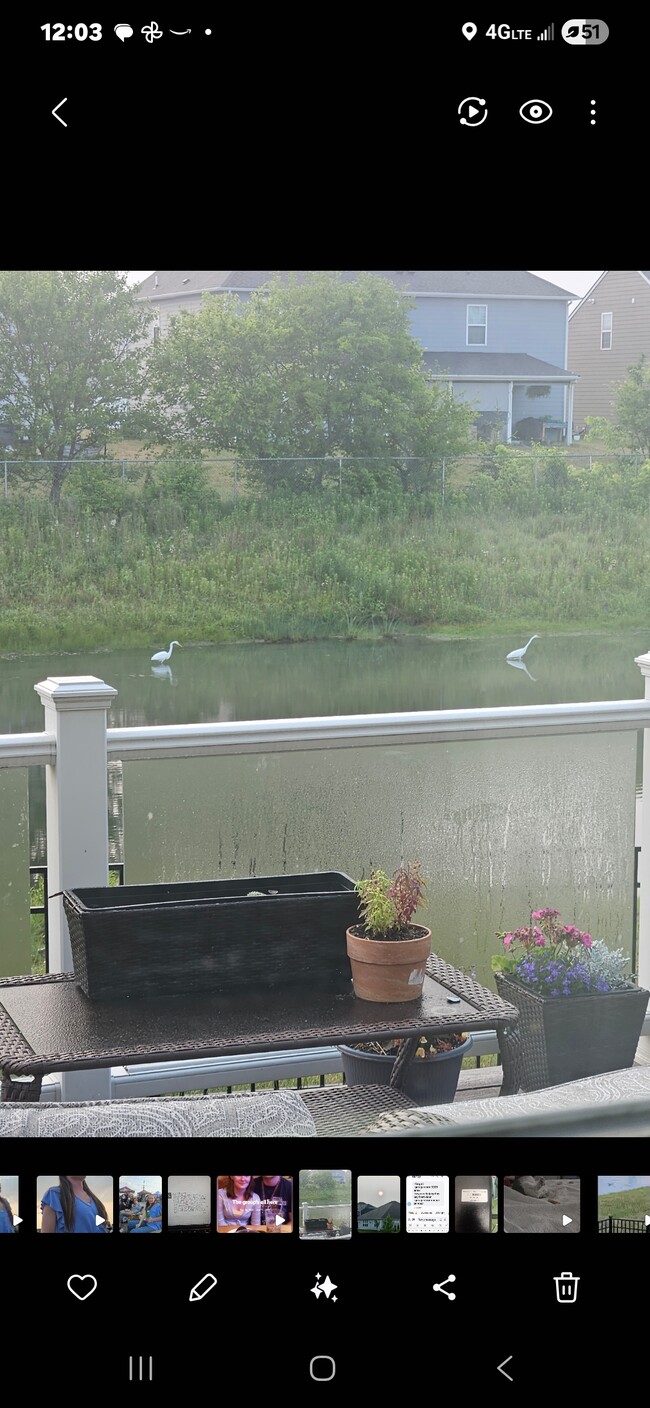 Photo - 5279 Tanglewood Ln