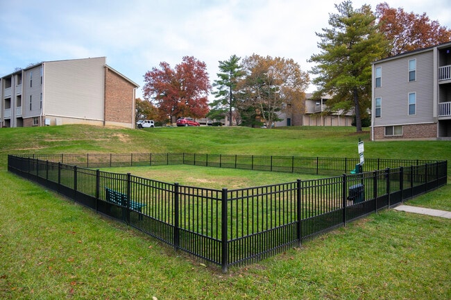 Dog Park