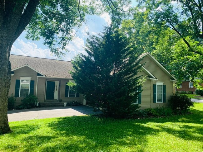 Photo - 511 Owens St