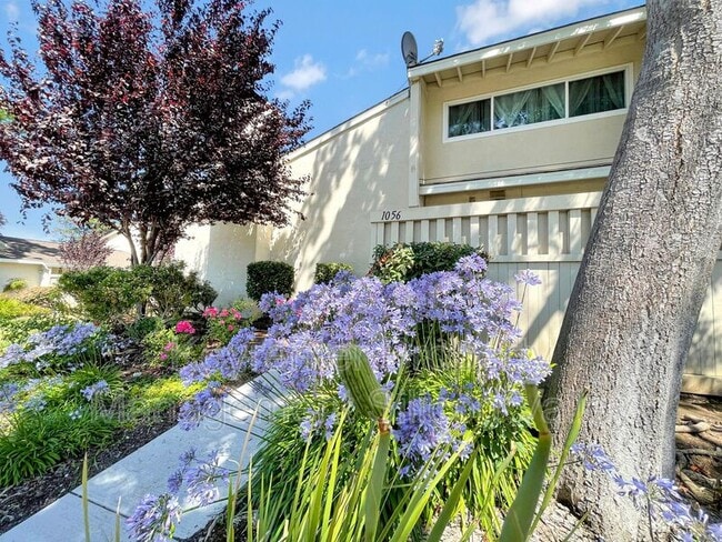 Building Photo - 1056 Michelangelo Dr