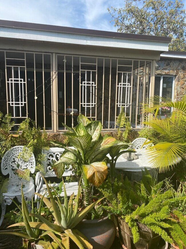 Photo - 481 NE 51st St