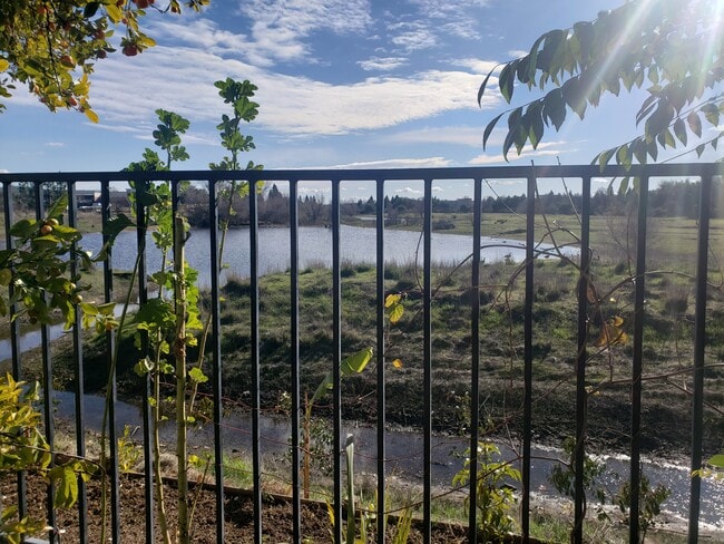 Back view Laguna creek during winter - 8113 Laguna Brook Way Unit B master -private