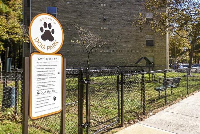 Yorkshire Dog Park