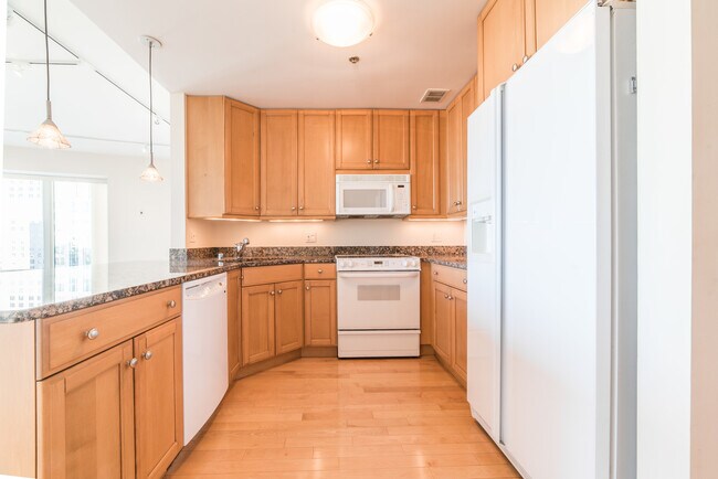 Photo - 57 E Delaware Pl Unidad 3204