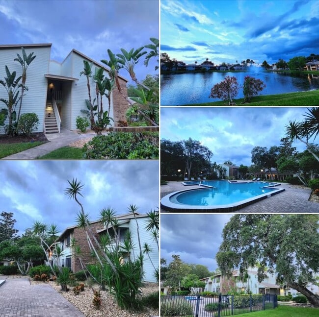 Building Photo - Oaks Of Lakebridge Community Rental
