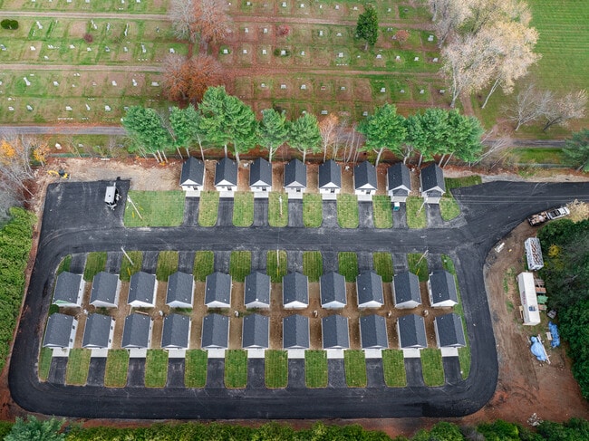 Photo - Randall Park