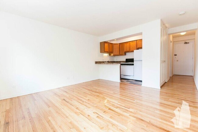 Photo - 540 W Roscoe St Unit 589