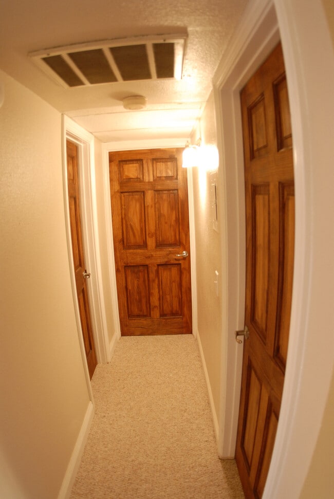 Hall Beautiful Oak Hardwood Doors