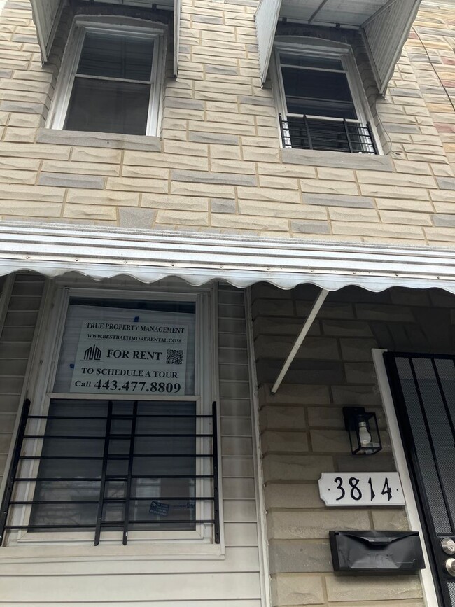 Building Photo - Spacious Mt Pleasant Ave Rental in Highlandtown
