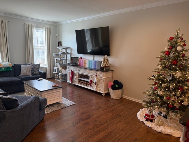 Photo - 423 Marion Rd