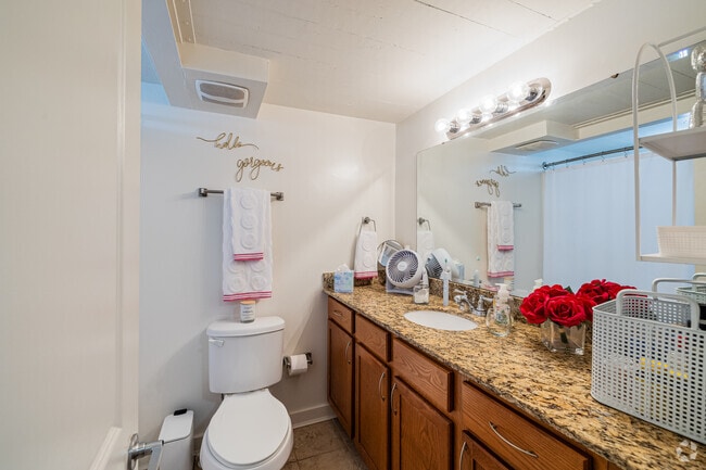1BR, 1BA - 625SF - Bathroom