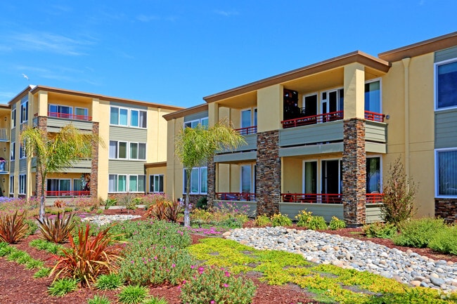 Shoreline Apartments