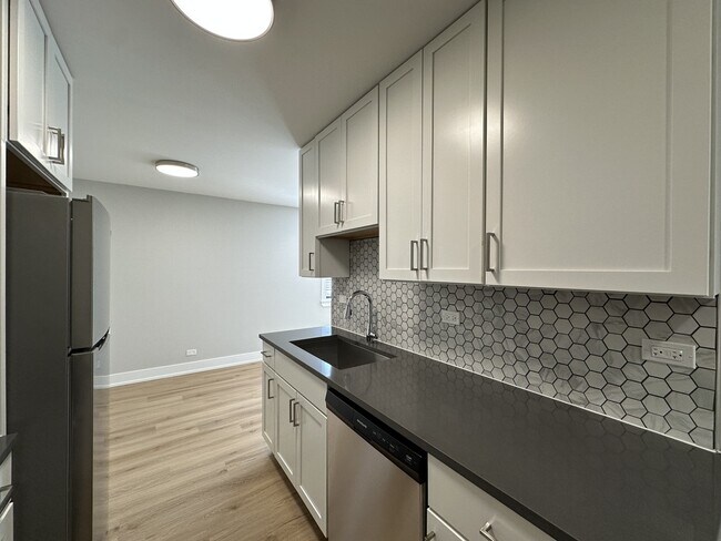 Photo - 535 W Aldine Ave Unit 412