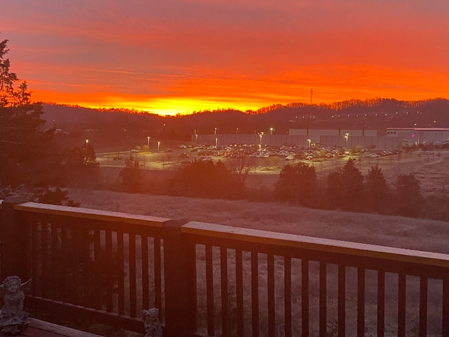 Building Photo - 10390 Ivy Hollow Dr