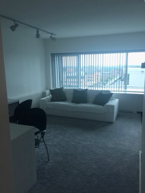 Photo - 555 E William St Unit 11J