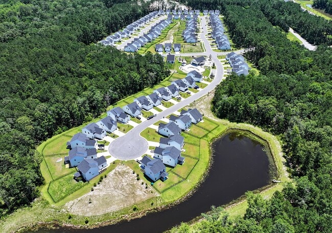 New River Forest