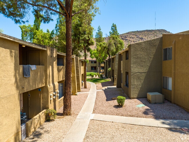 Solaris at Shadow Mountain