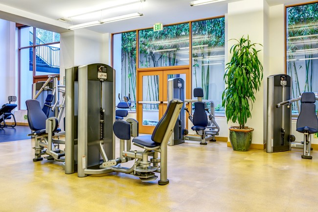 Fitness Center - The Glendon Apartments in Westwood